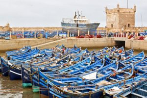 Excursion from Marrakech to Essaouira city