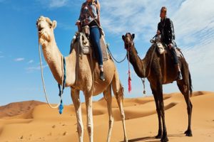 3 Nights Camel Trek Merzouga